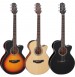 Takamine GF15CE-BSB elektro-akustična kitara